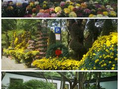 -杭州植物园
