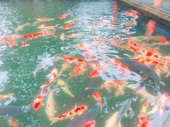 -湖鲜楼