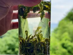 -韬光茶庵