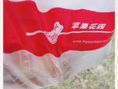 -苹果花园(金耀南路店)