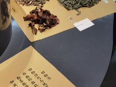 -广东中医药博物馆