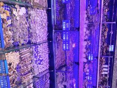-青蓬蒸汽海鲜·深圳老字号·团建聚会(壹方城店)