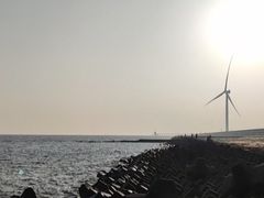 -上海海洋大学(临港校区)