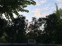 -大千天鹅湾温泉