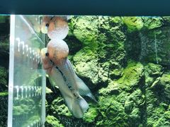 -石林冰雪海洋世界