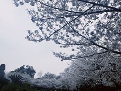 -堤角公园