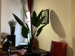 -雕刻时光咖啡馆(交大店)