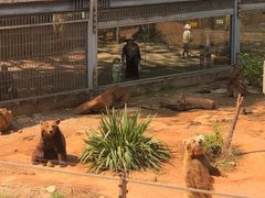 -昆明动物园