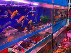 -双季花艺园艺市场(浦东店)