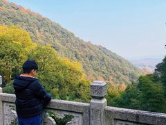 -韬光茶庵