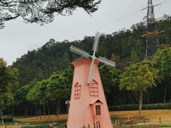 -顺峰山公园