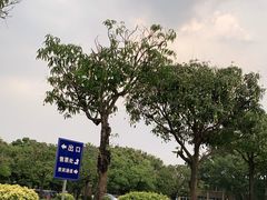 -海上田园