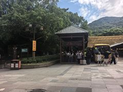 -普陀山风景名胜区-法雨禅寺