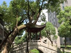 景点-龙潭水乡