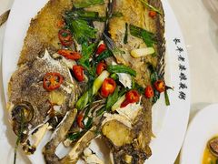 -长平老姿娘夜粥(平东一街店)