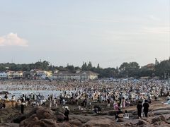 -青岛第三海水浴场