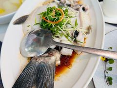 -巡味顺德菜(欢乐海岸购物中心店)