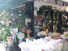 -溪岸路花鸟市场