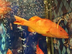 -陶陶居·雅园(凯华国际店)