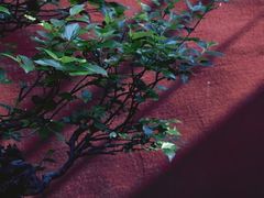 -西安市广仁寺