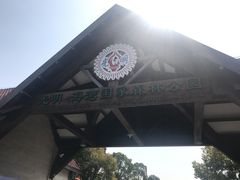 -上海海湾国家森林公园