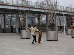 -龙美术馆西岸馆-停车场