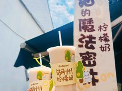 柠檬奶-猫的魔法密林(衣裳街店)
