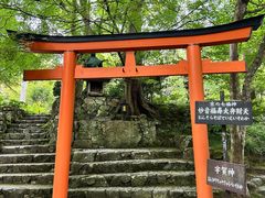 -三千院