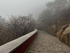 -天津盘山风景名胜区