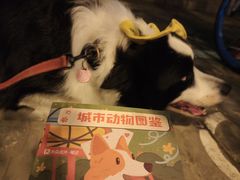 -瑞虹新天地月亮湾