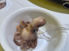 -海吉星市场