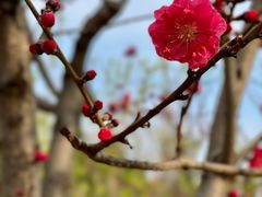 -东升八家郊野公园