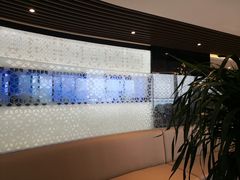 -新加坡珍宝海鲜JUMBO Seafood(西安skp店)
