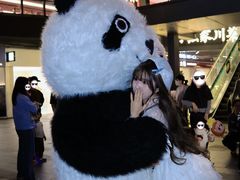 -江燕路万科里