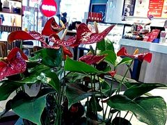 -COSTA COFFEE(水游城店)