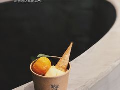四会沙糖桔雪糕-歎雪糕低糖低脂Gelato冰淇淋