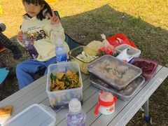 -王借岗森林公园