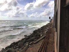 -Ministry of Crab(科伦坡店)