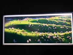 -罗红摄影艺术馆