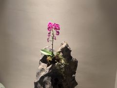 -翁暖茶馆(滨江东总店)