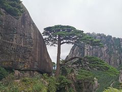 -黄山风景区
