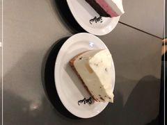 -Seesaw Coffee(苏州中心店)