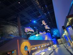 -贝林大翅鲸简餐厅(国家海洋博物馆店)