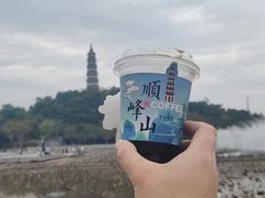 -顺峰山公园