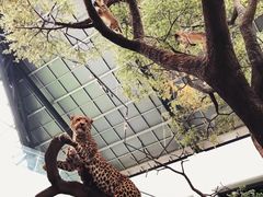 -长江文明馆