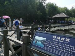 -溱湖国家湿地公园