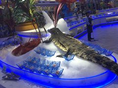 -澜悦港海鲜体验主题餐厅