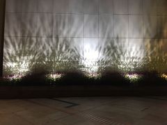 -VT101维多利广场