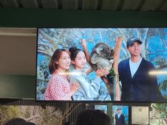 -费瑟代尔野生动物园