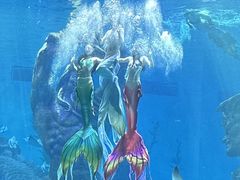 -波塞冬海底世界